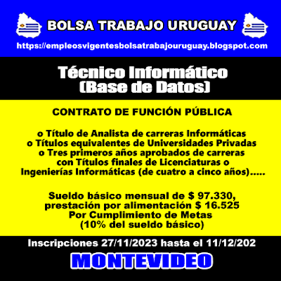 Técnico Informático (Base de Datos)