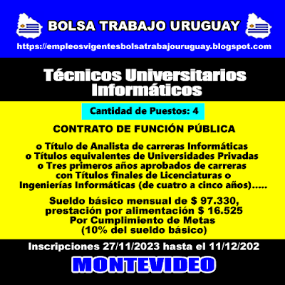 Técnicos Universitarios Informáticos