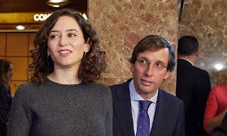 Del árbol más grande