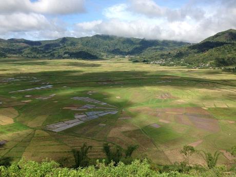 Cancar, Campos de arroz de telaraña