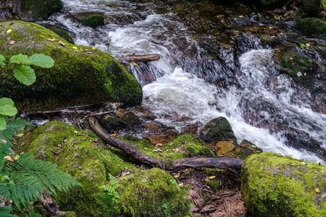 15 mejores cosas para hacer en Leicester (MA) Cascada