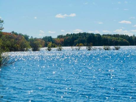 15 mejores cosas para hacer en Holbrook (MA) Gran estanque de Weymouth