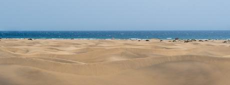 Descubre cuáles son las mejores playas de España para visitar en invierno Descubre cuáles son las mejores playas de España para visitar en invierno