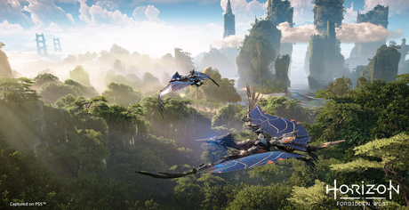 Más de 600.000 árboles plantados gracias al proyecto de reforestación de Los Bosques de Aloy HFW_SCREEN_LEGAL_SANFRAN_4K_RGB_20201216-1