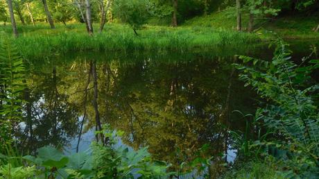 15 mejores cosas para hacer en Easthampton (MA) 15 mejores cosas para hacer en Easthampton (MA)