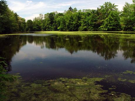 15 mejores cosas para hacer en Easthampton (MA) 15 mejores cosas para hacer en Easthampton (MA)