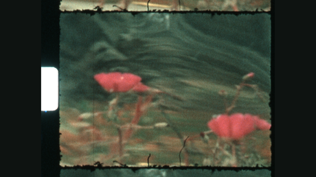 8d874d3b-5d5d-bb83-ebd9-d288e1ce1661