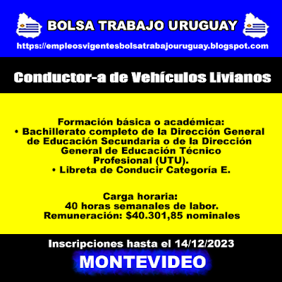 Conductor-a de Vehículos Livianos