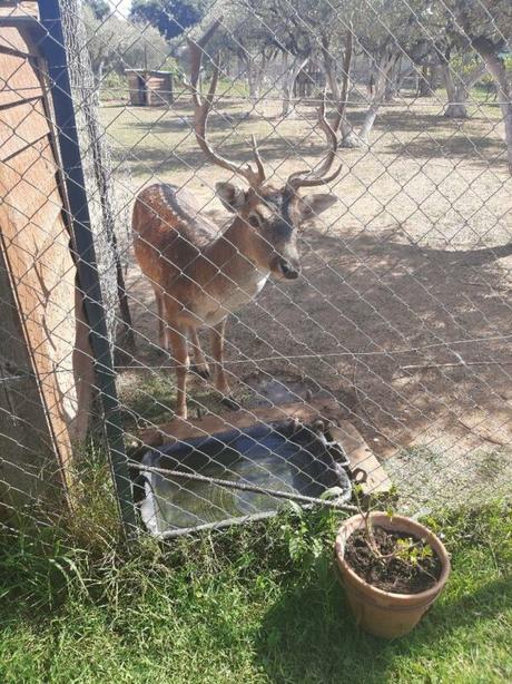 Alejandrópolis: 7 +1 mejores lugares para ir con niños Alejandrópolis: 7 +1 mejores lugares para ir con niños