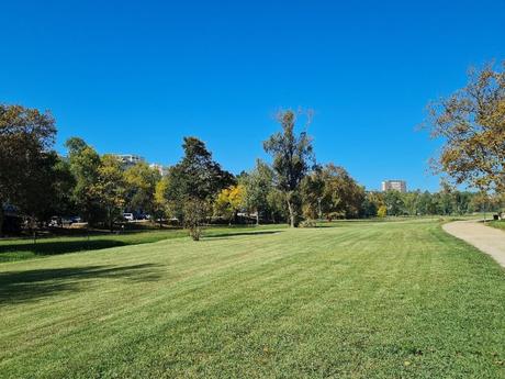 Qué ver en Figueira da Foz un Tesoro en la Costa Portuguesa
