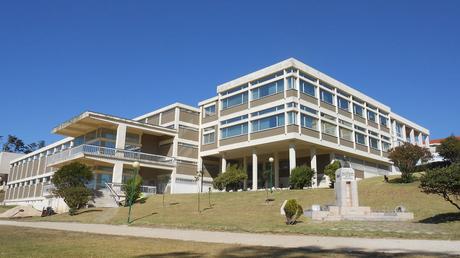 Qué ver en Figueira da Foz un Tesoro en la Costa Portuguesa