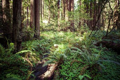 63 parques nacionales de EE. UU. por popularidad (actualizado en 2023) 63 parques nacionales de EE. UU. por popularidad (actualizado en 2023)