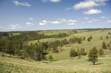 63 parques nacionales de EE. UU. por popularidad (actualizado en 2023) 63 parques nacionales de EE. UU. por popularidad (actualizado en 2023)
