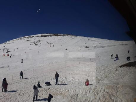 Arcturus: Navidad con osos pardos Arcturus: Navidad con osos pardos