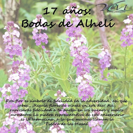 1+1+1+1+1+1+1+1+1+1+1+1+1+1+1+1+1=