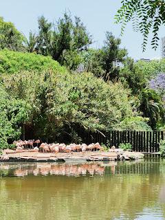 Un día de Primavera en modo verde: Ecoparque y Jardín Botánico de Buenos Aires Un día de Primavera en modo verde: Ecoparque y Jardín Botánico de Buenos Aires