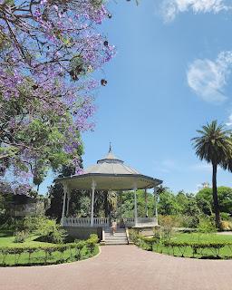 Un día de Primavera en modo verde: Ecoparque y Jardín Botánico de Buenos Aires