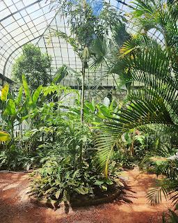 Un día de Primavera en modo verde: Ecoparque y Jardín Botánico de Buenos Aires Un día de Primavera en modo verde: Ecoparque y Jardín Botánico de Buenos Aires