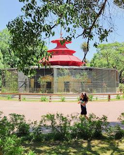 Un día de Primavera en modo verde: Ecoparque y Jardín Botánico de Buenos Aires Un día de Primavera en modo verde: Ecoparque y Jardín Botánico de Buenos Aires