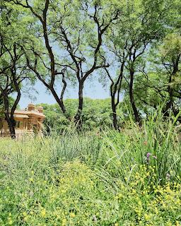 Un día de Primavera en modo verde: Ecoparque y Jardín Botánico de Buenos Aires Un día de Primavera en modo verde: Ecoparque y Jardín Botánico de Buenos Aires