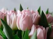 arte sublime crear ramo tulipanes