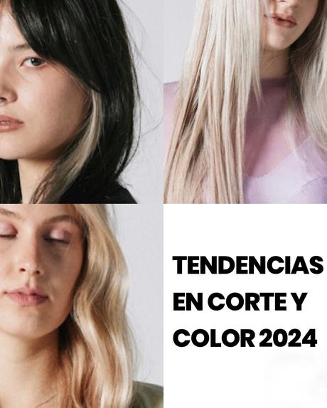 Tendencias corte y color pelo 2024 Cabello largo gris rubio