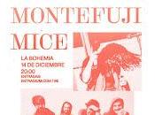 Montefuji Mice Bohemia