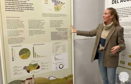 Comarca del Condado: Olivos, Toros y Patrimonio