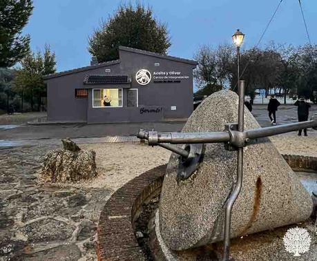 Comarca del Condado: Olivos, Toros y Patrimonio