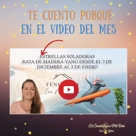 Energías Feng Shui diciembre 2023