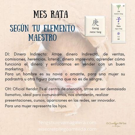 Mes Rata según tu Elemento Maestro de BaZi