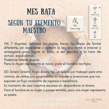 Mes Rata según tu Elemento Maestro de BaZi