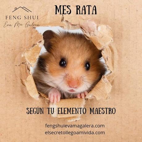 Mes Rata según tu Elemento Maestro de BaZi