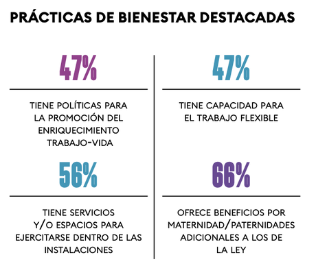 Alguien lo tenía que hacer: conoce las empresas que diseñan el bienestar a la medida