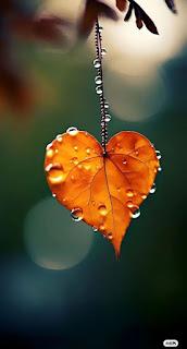 5.684 - DE LOS PUERTOS...