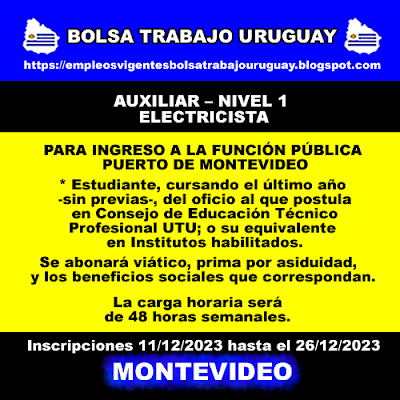 AUXILIAR – NIVEL 1 ELECTRICISTA