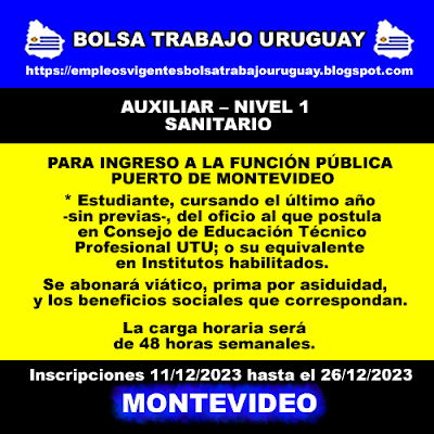 AUXILIAR – NIVEL 1 SANITARIO