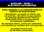 Auxiliar nivel eléctrico automotriz