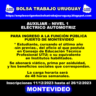 AUXILIAR – NIVEL 1 ELÉCTRICO AUTOMOTRIZ