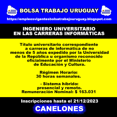INGENIERO UNIVERSITARIO EN LAS CARRERAS INFORMÁTICAS