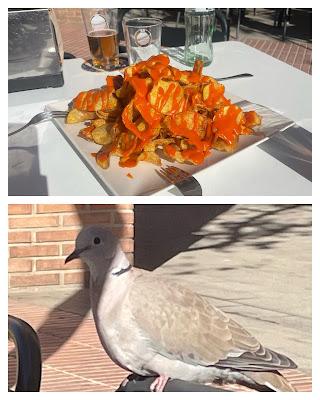 🎄 Entre cafés🎄