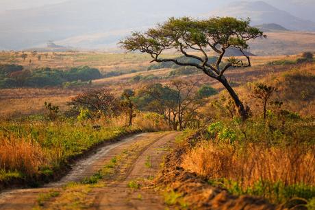 Paisaje del Parque Nacional Nyika - Malawi