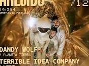 Dandy Wolf Terrible idea Company Terra