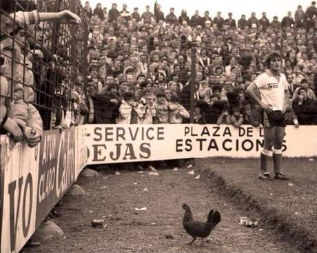 La gallina de los Campos de Sport