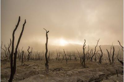 El cambio climático aumenta los brotes de enfermedades infecciosas