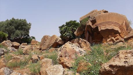 SICILIA: EL VALLE DE LOS TEMPLOS DE AGRIGENTO SICILIA: EL VALLE DE LOS TEMPLOS DE AGRIGENTO
