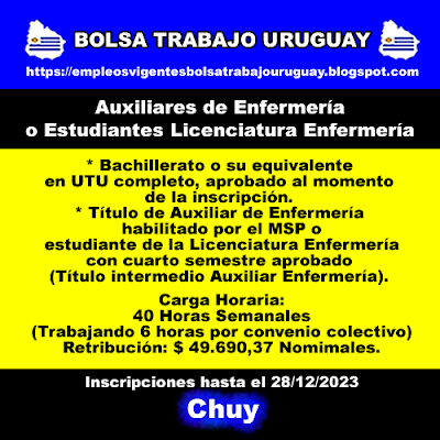 Auxiliares de Enfermería o Estudiantes Licenciatura Enfermería (Chuy)