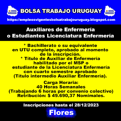 Auxiliares de Enfermería o Estudiantes Licenciatura Enfermería (Flores)