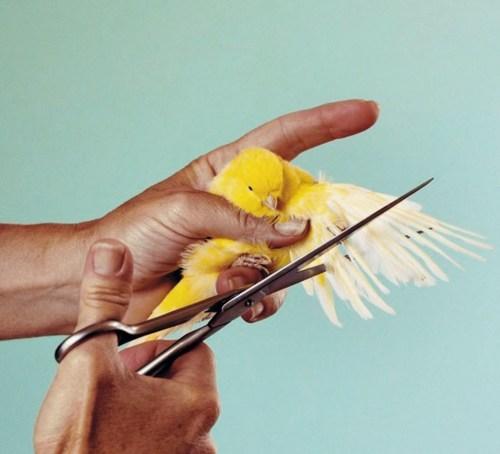 30 formas de combatir el estrés