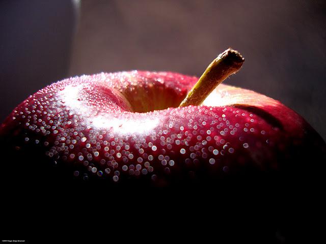 30 formas de combatir el estrés